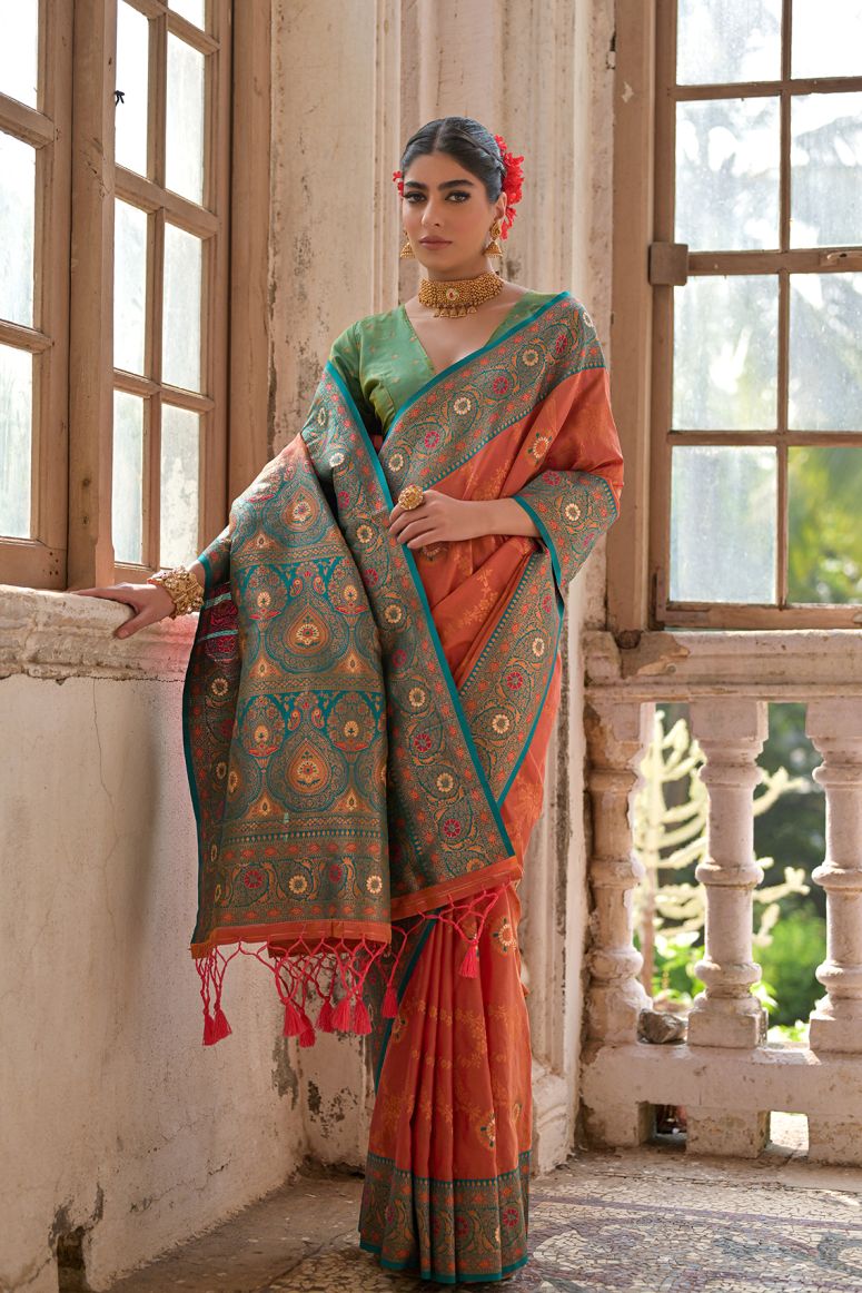 Catalog Designer Saree