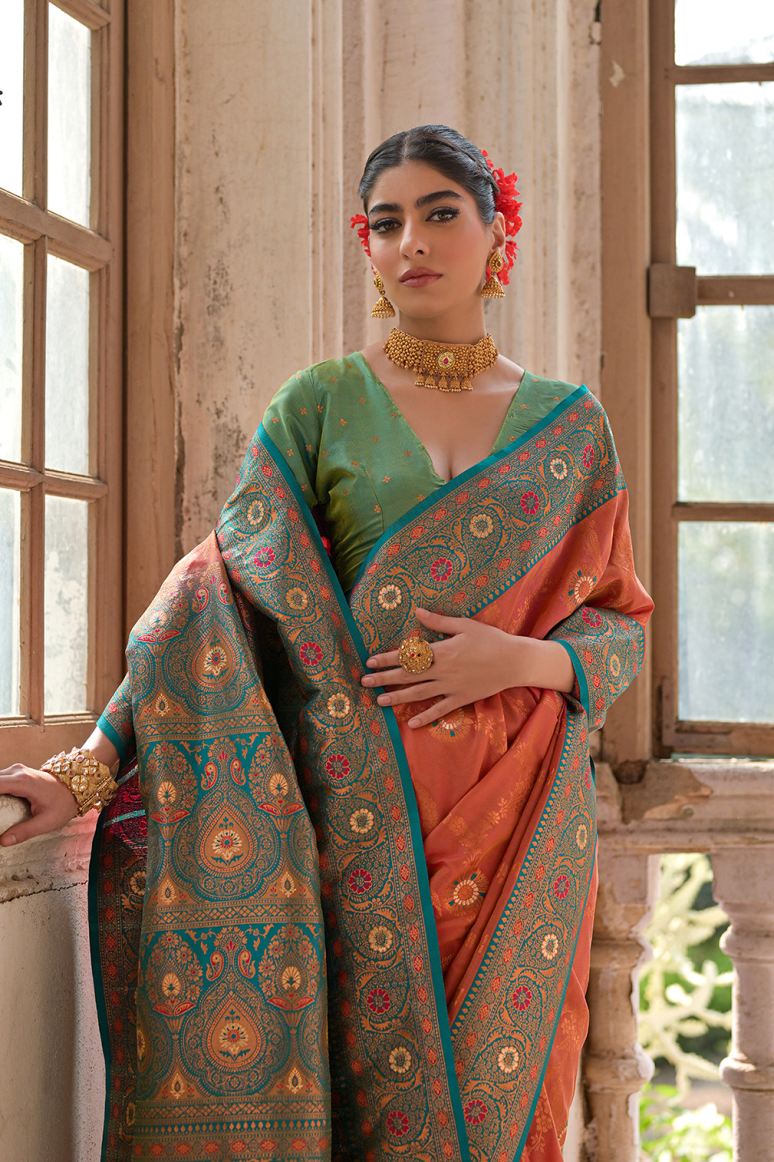 Catalog Designer Saree