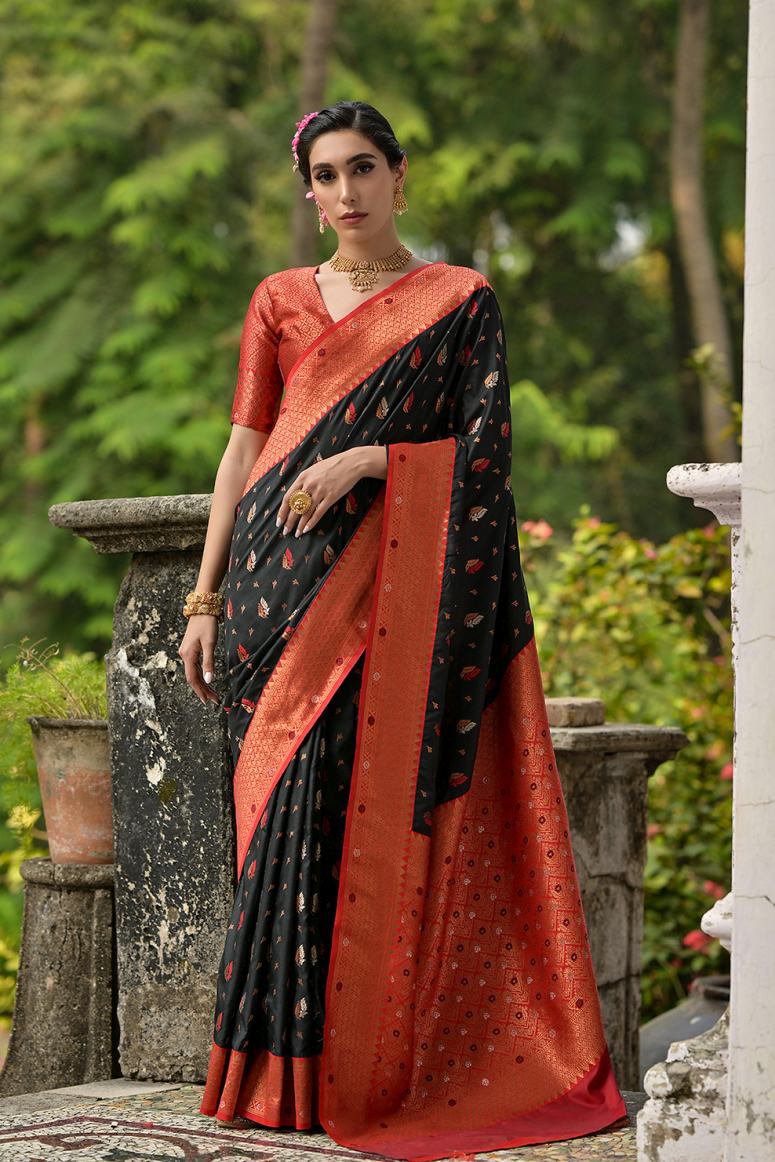 Catalog Designer Saree
