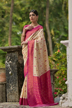 Catalog Designer Saree