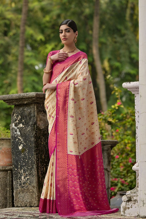 Catalog Designer Saree