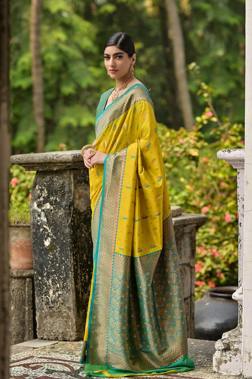 Catalog Designer Saree