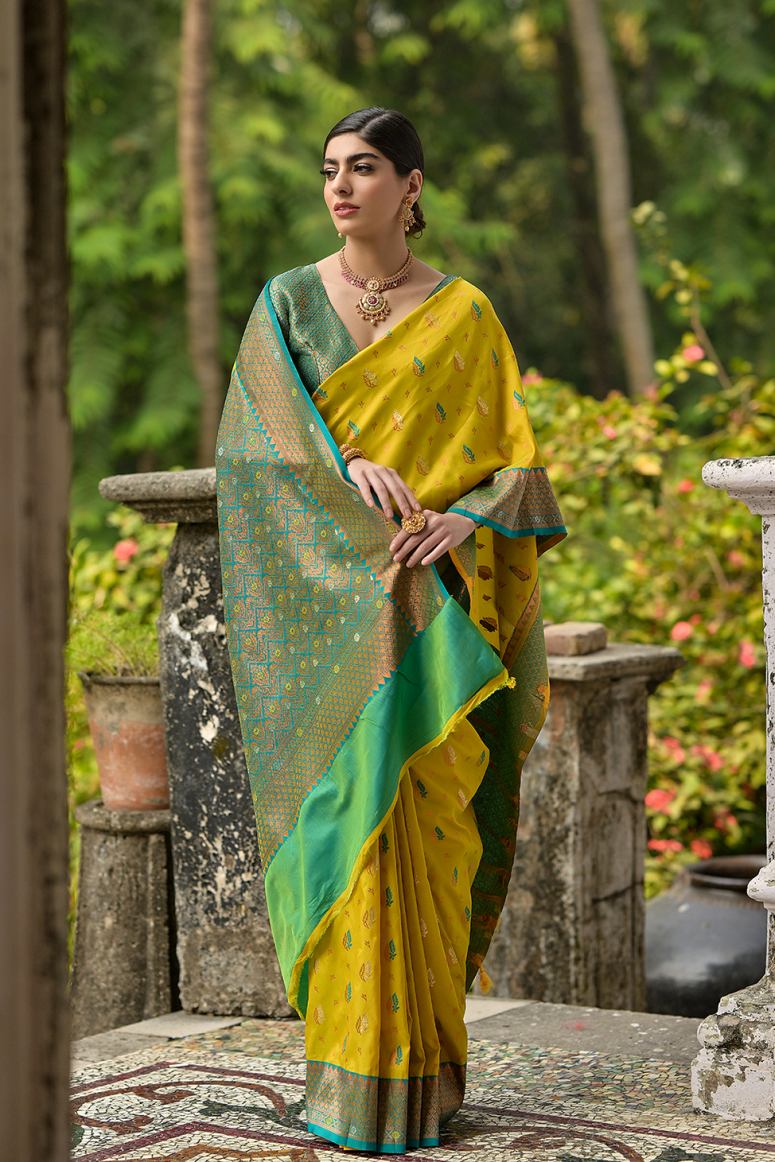 Catalog Designer Saree