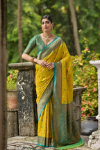 Catalog Designer Saree