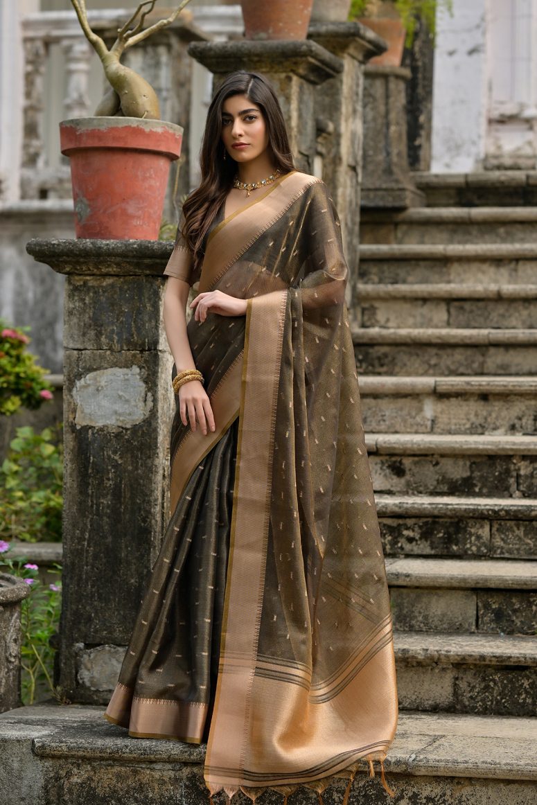 Catalog Designer Saree