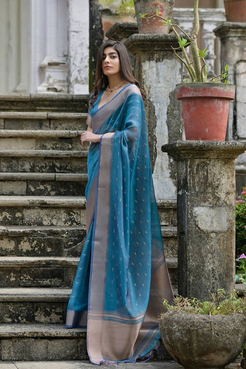 Catalog Designer Saree