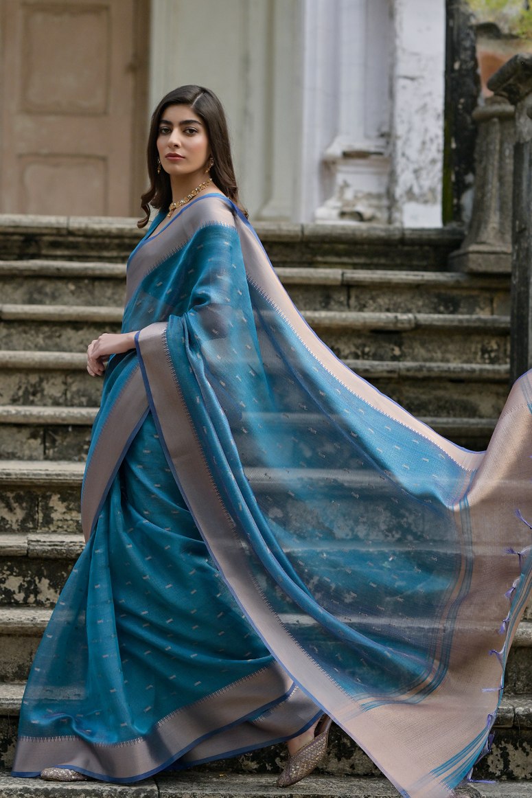 Catalog Designer Saree