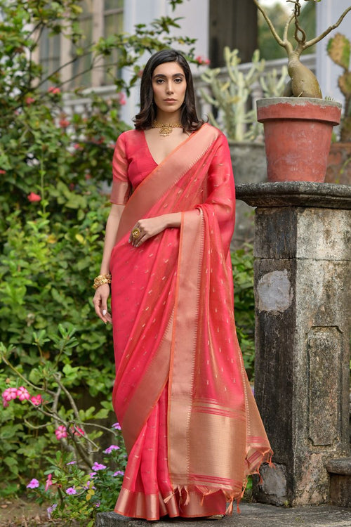 Catalog Designer Saree