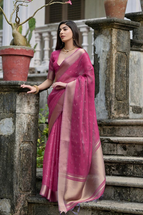 Catalog Designer Saree