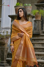 Catalog Designer Saree