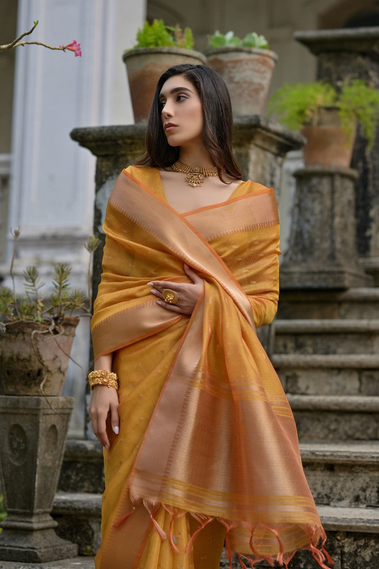 Catalog Designer Saree