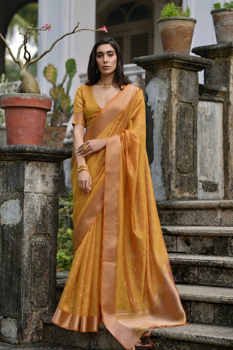 Catalog Designer Saree