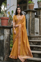 Catalog Designer Saree
