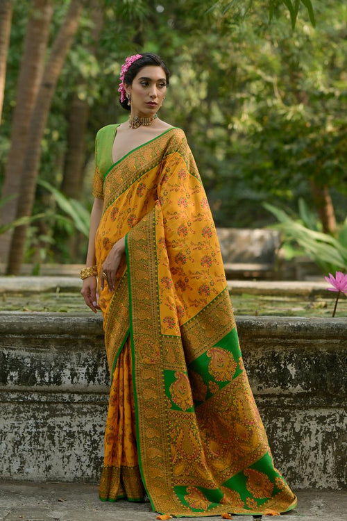 Catalog Designer Saree