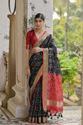 Catalog Designer Saree