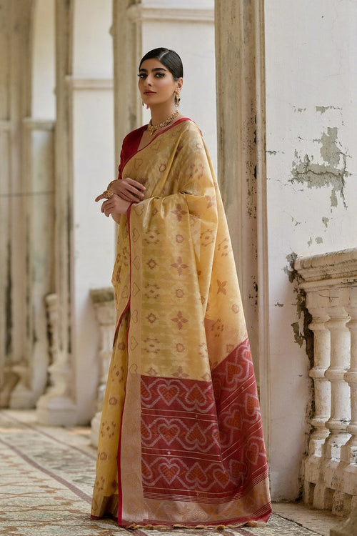 Catalog Designer Saree