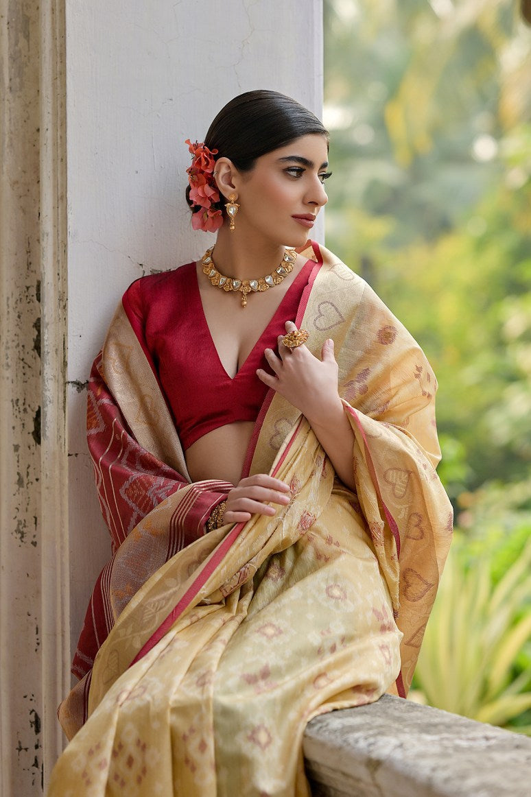 Catalog Designer Saree