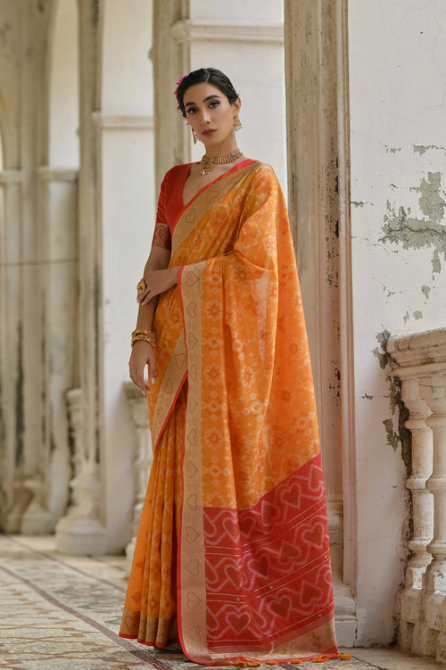 Catalog Designer Saree