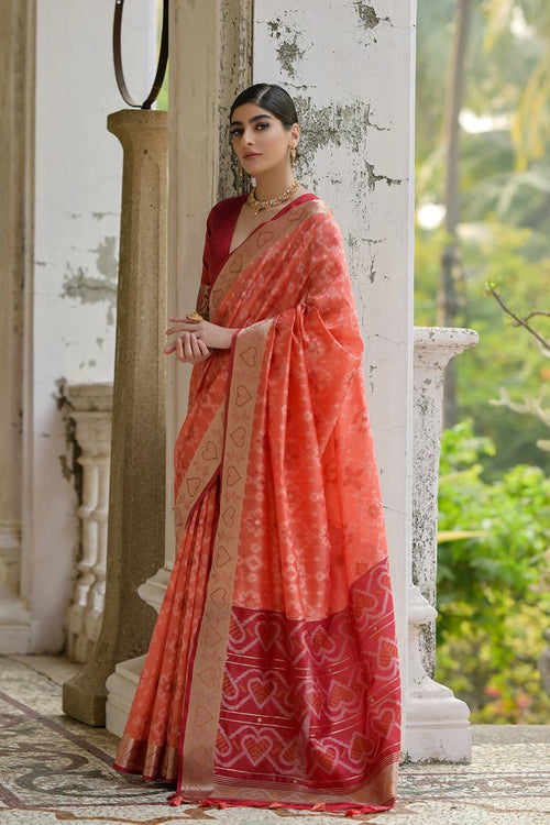 Catalog Designer Saree