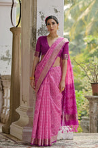 Catalog Designer Saree