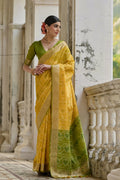 Catalog Designer Saree
