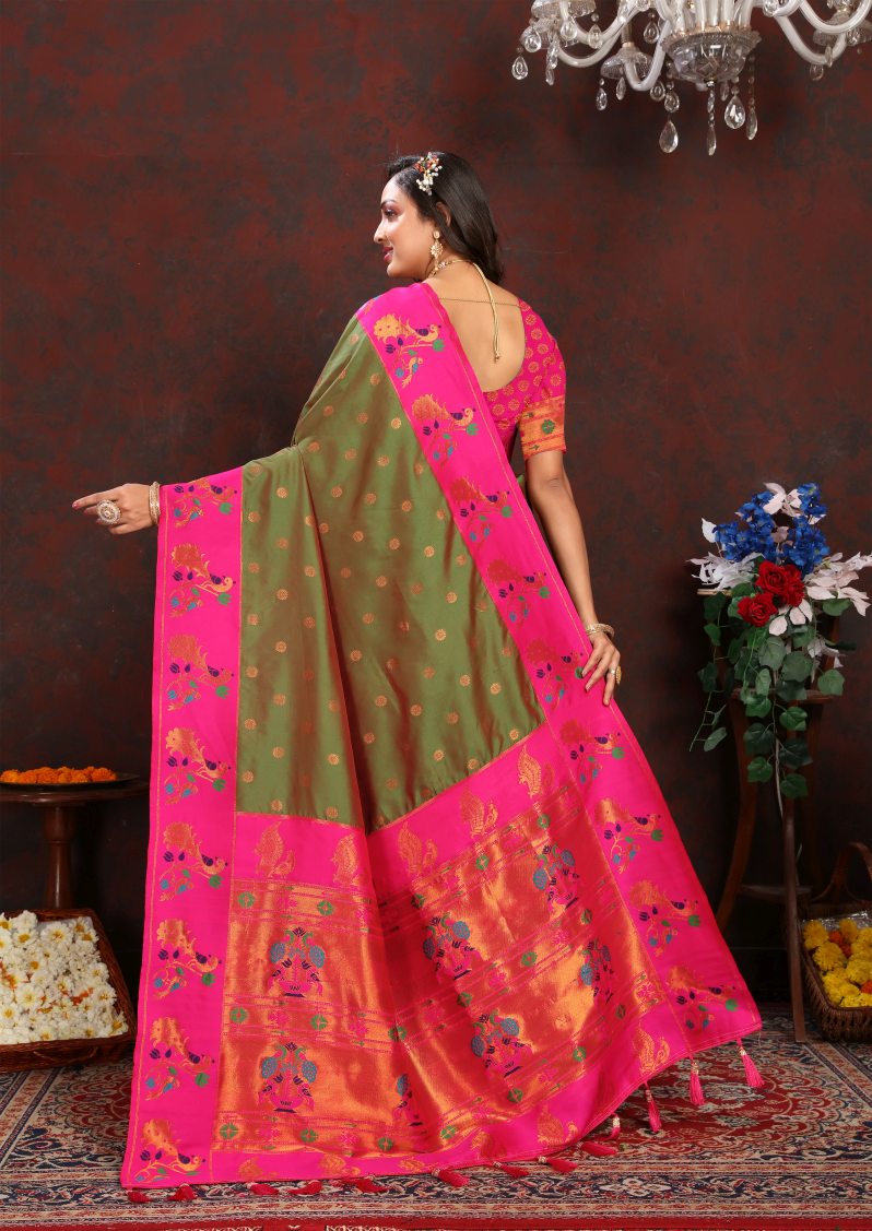 Catalog Designer Saree