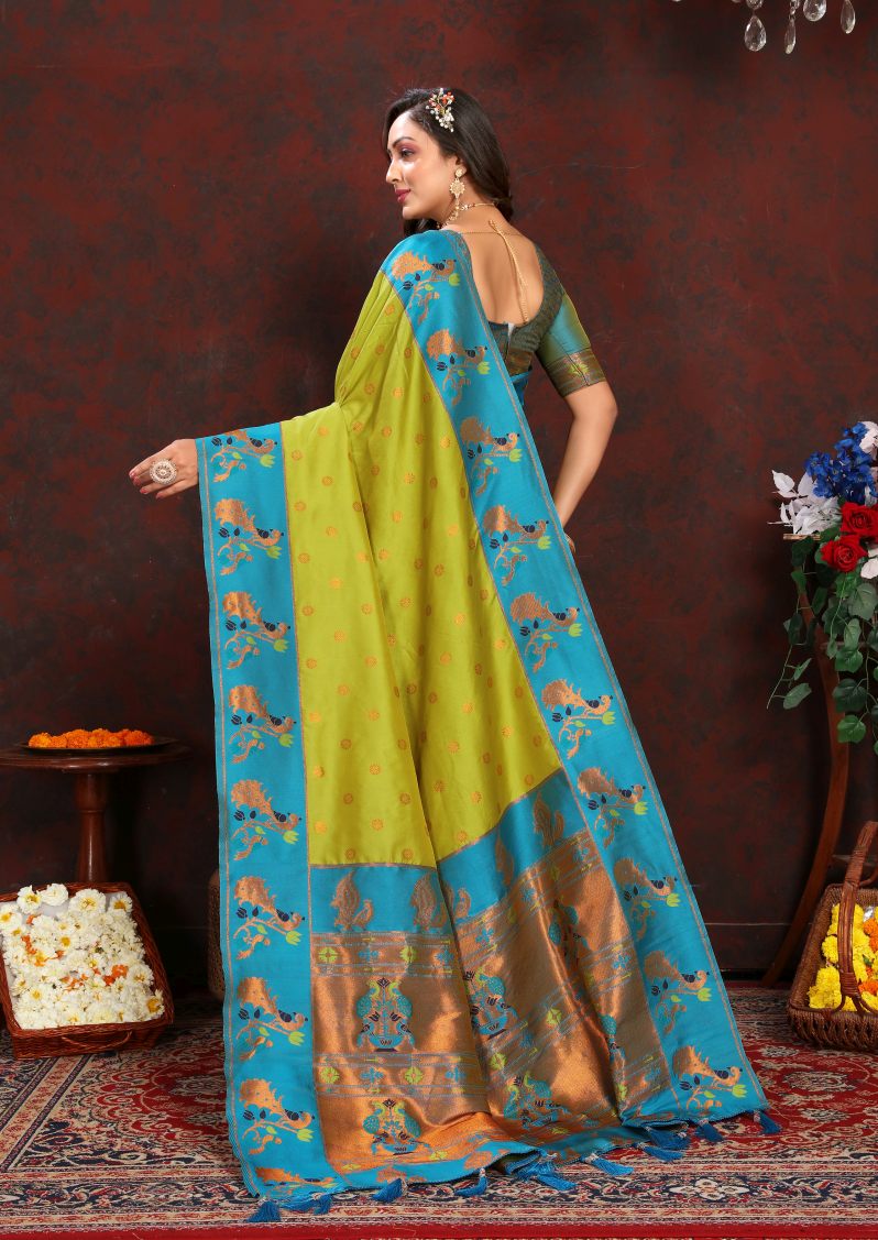 Catalog Designer Saree