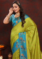 Catalog Designer Saree