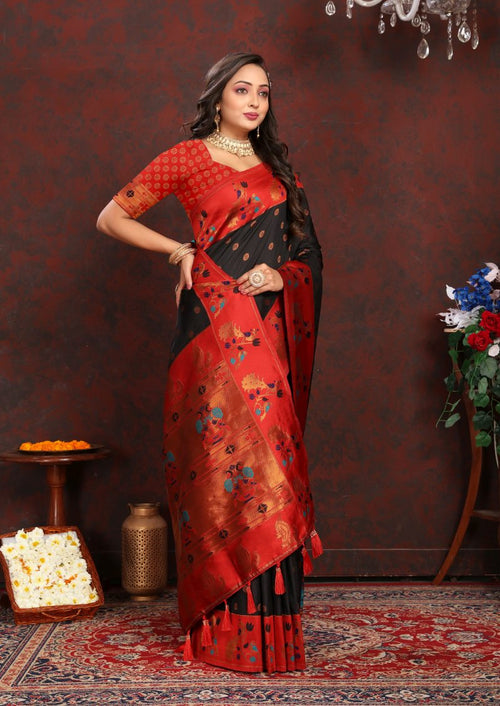 Catalog Designer Saree