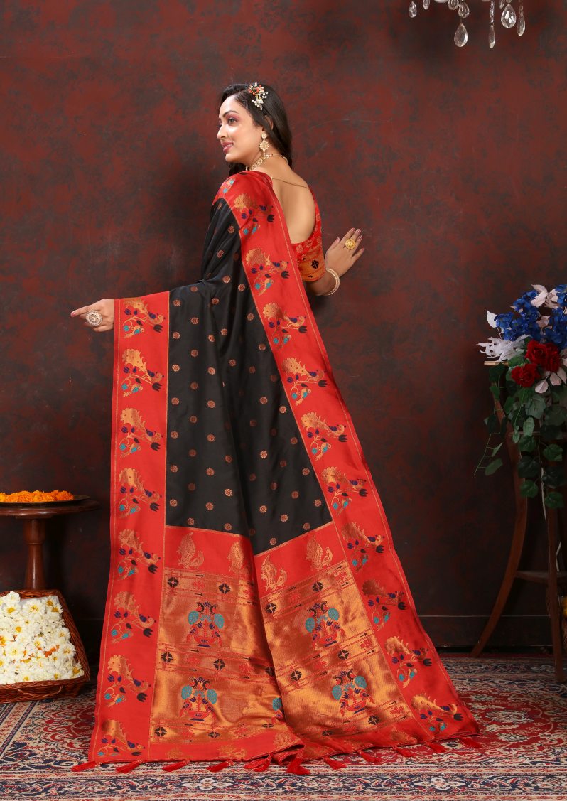 Catalog Designer Saree