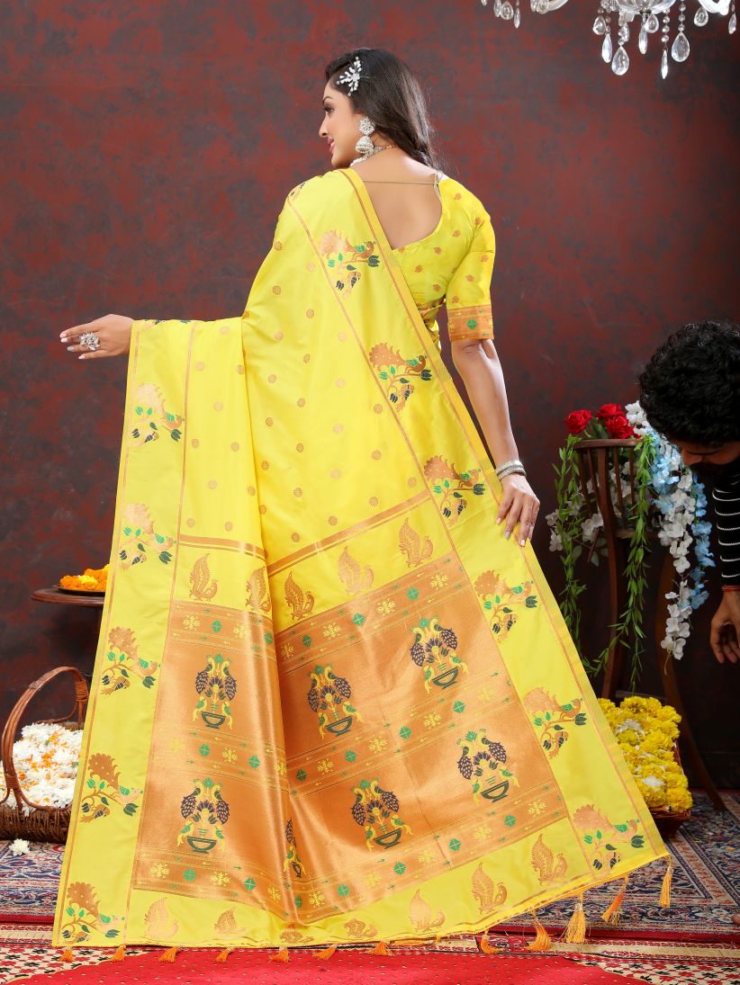 Catalog Designer Saree