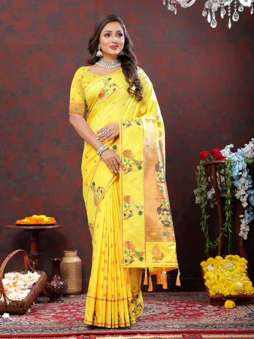 Catalog Designer Saree