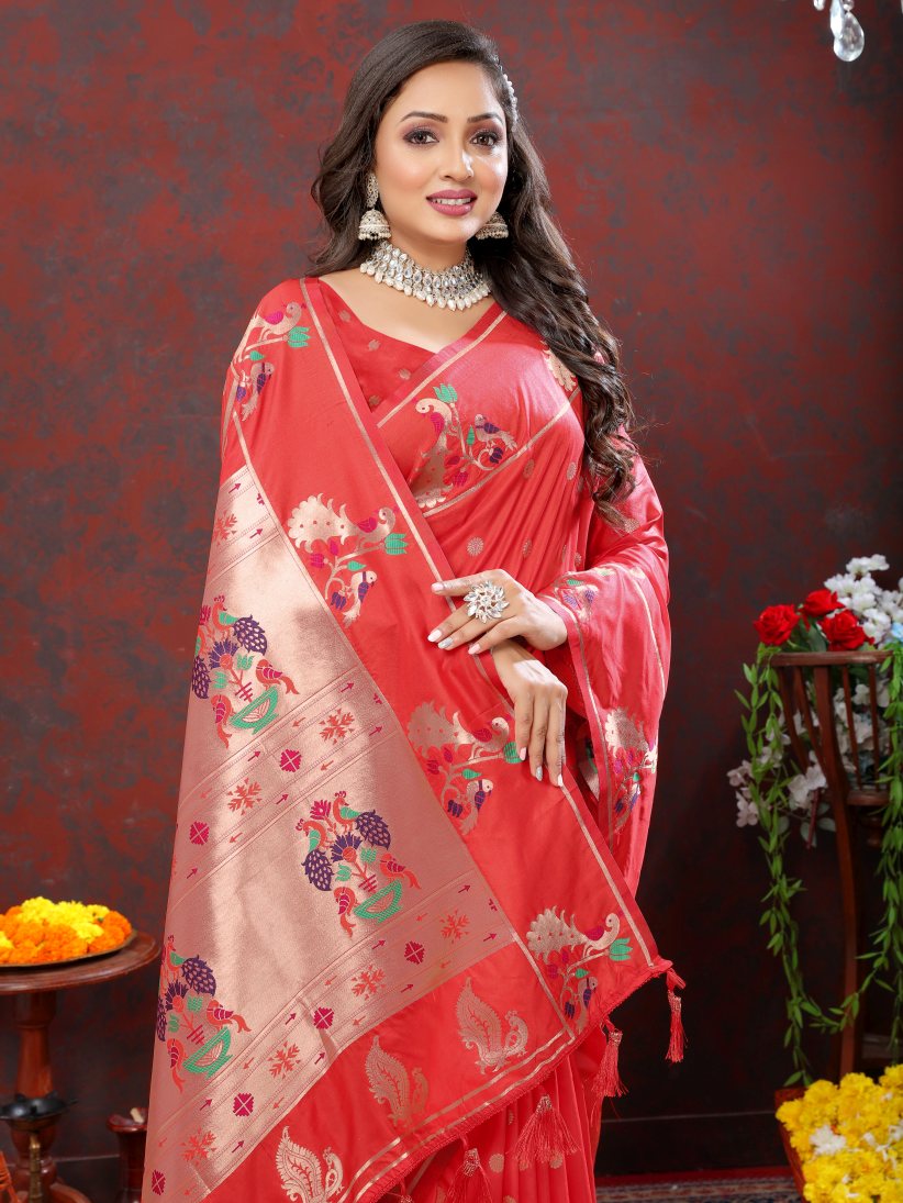 Catalog Designer Saree