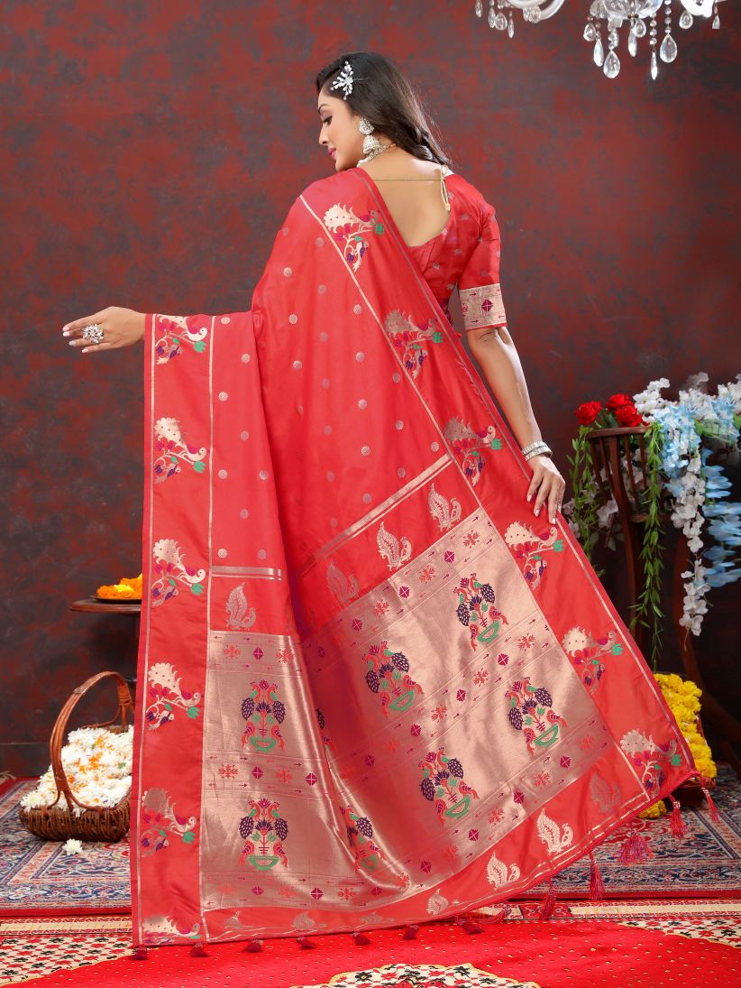 Catalog Designer Saree