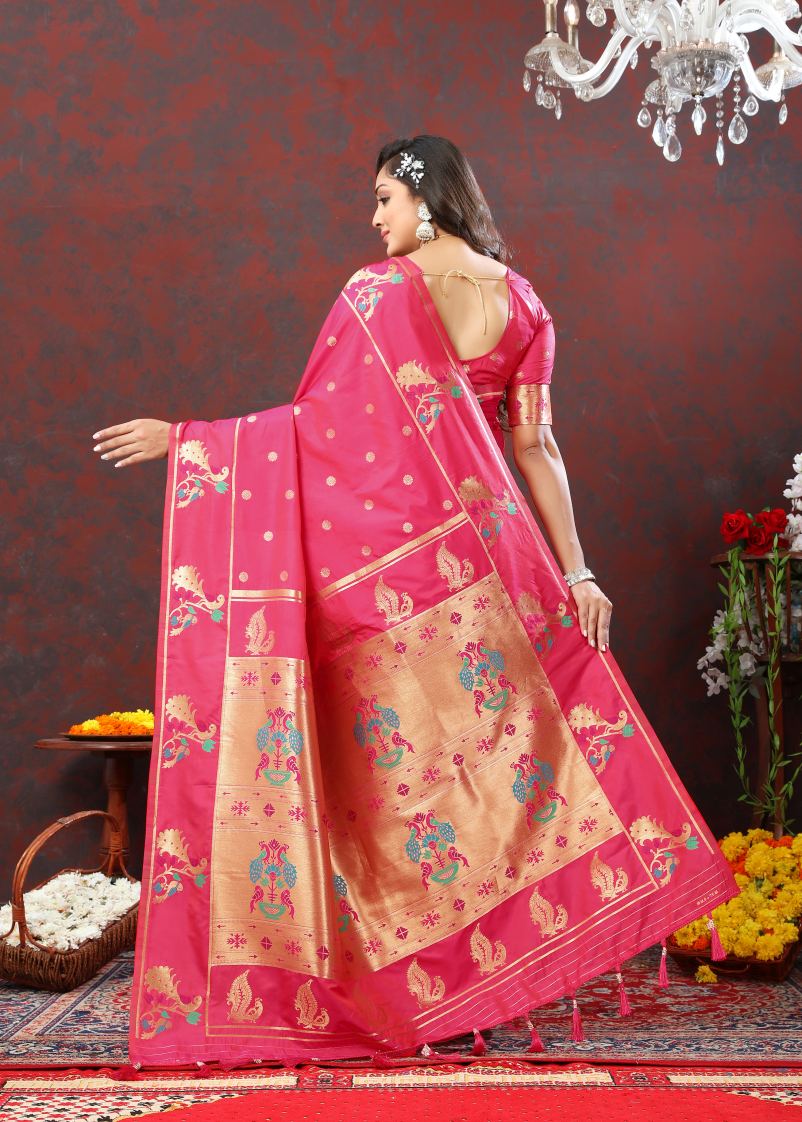 Catalog Designer Saree