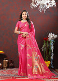 Catalog Designer Saree
