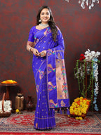 Catalog Designer Saree