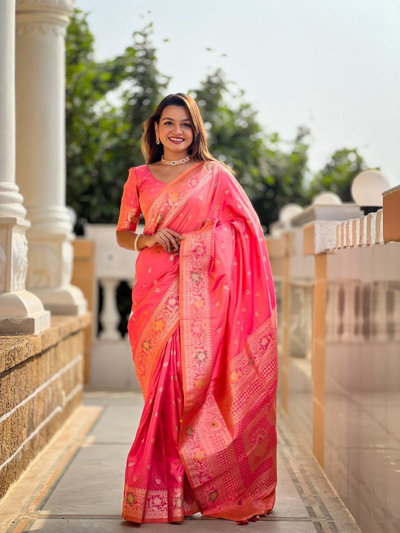 Catalog Designer Saree