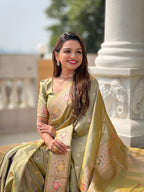 Catalog Designer Saree
