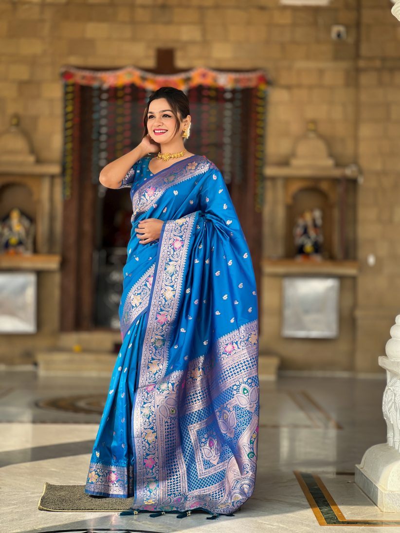 Catalog Designer Saree