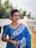 Catalog Designer Saree