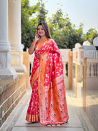 Catalog Designer Saree
