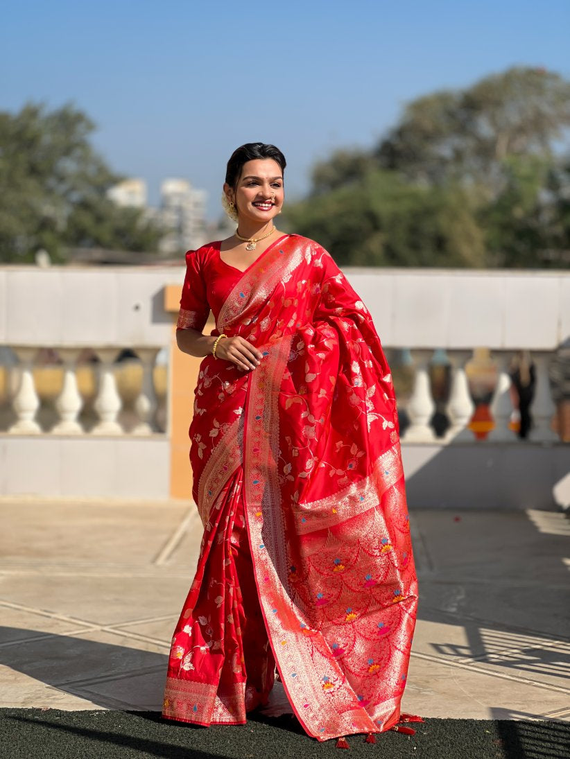 Catalog Designer Saree