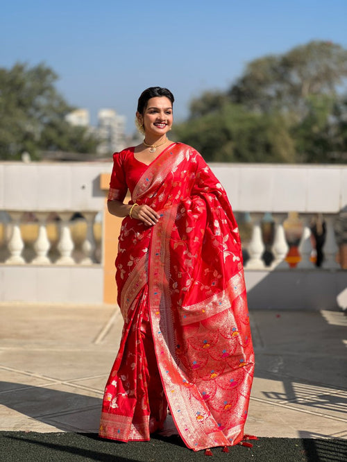 Catalog Designer Saree