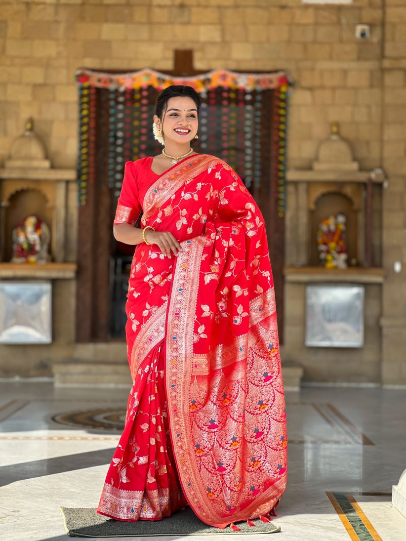 Catalog Designer Saree