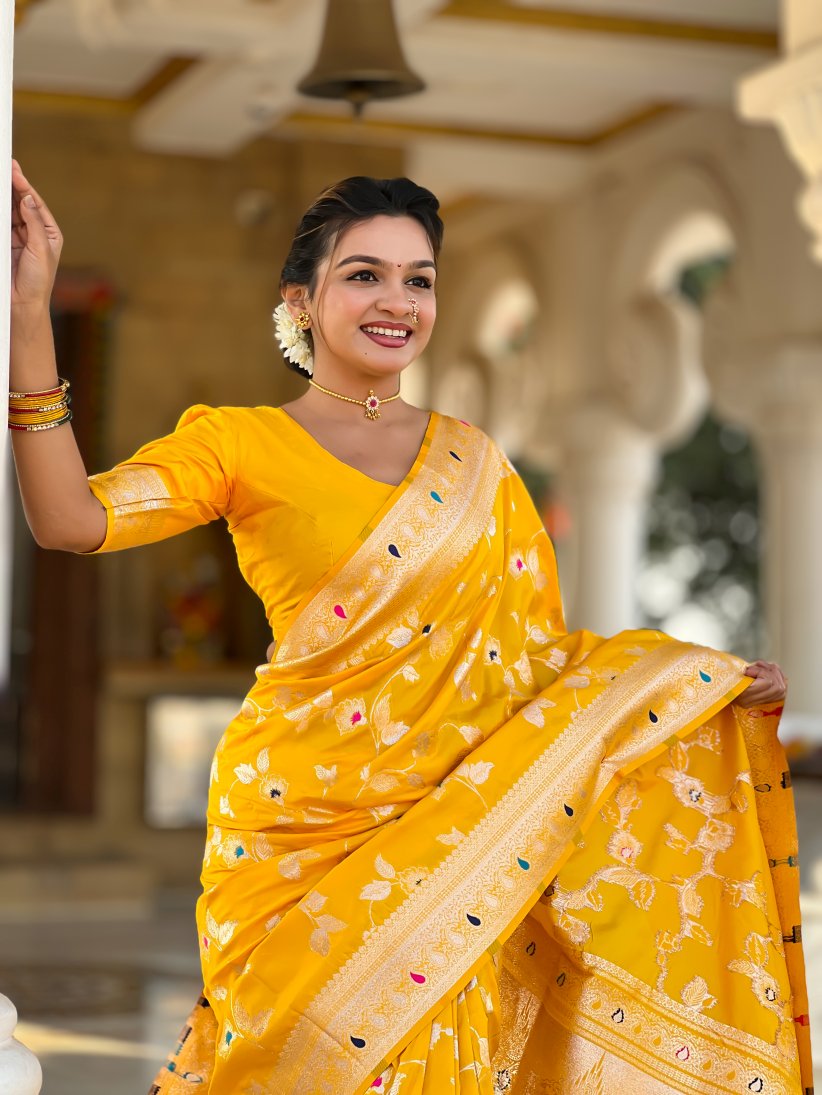 Catalog Designer Saree