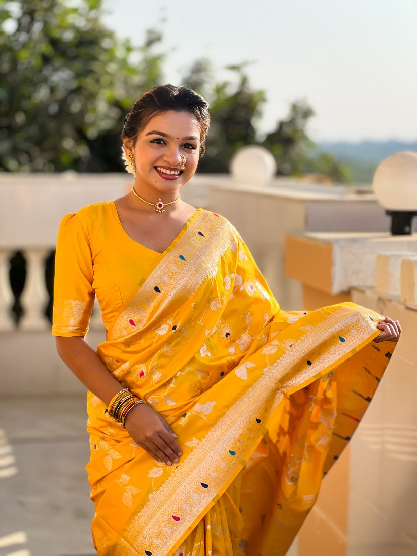 Catalog Designer Saree