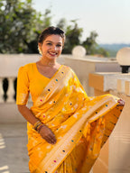 Catalog Designer Saree