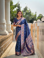 Catalog Designer Saree