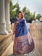 Catalog Designer Saree